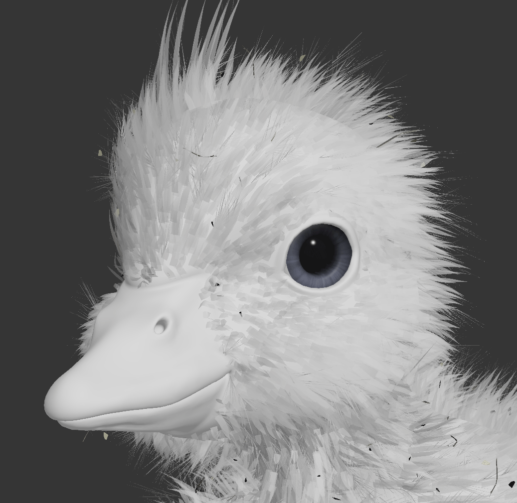QuentinC duck