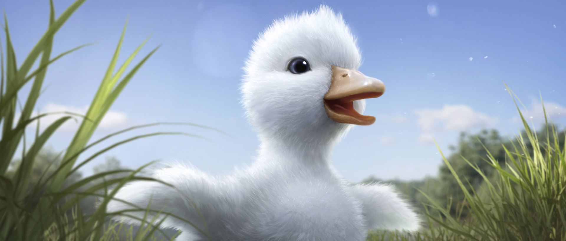 loicb stillframe duck 24