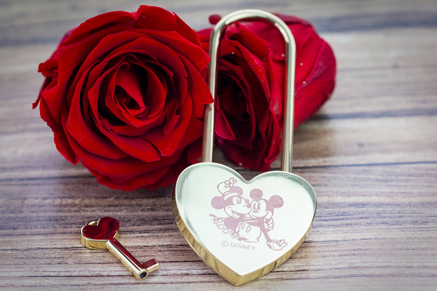 cadenas MM 2020 2