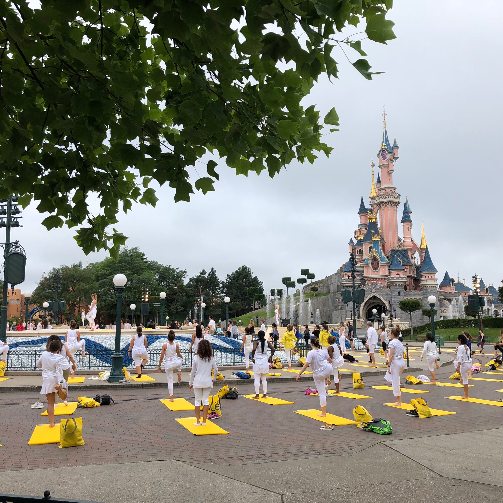 YogaDay 2