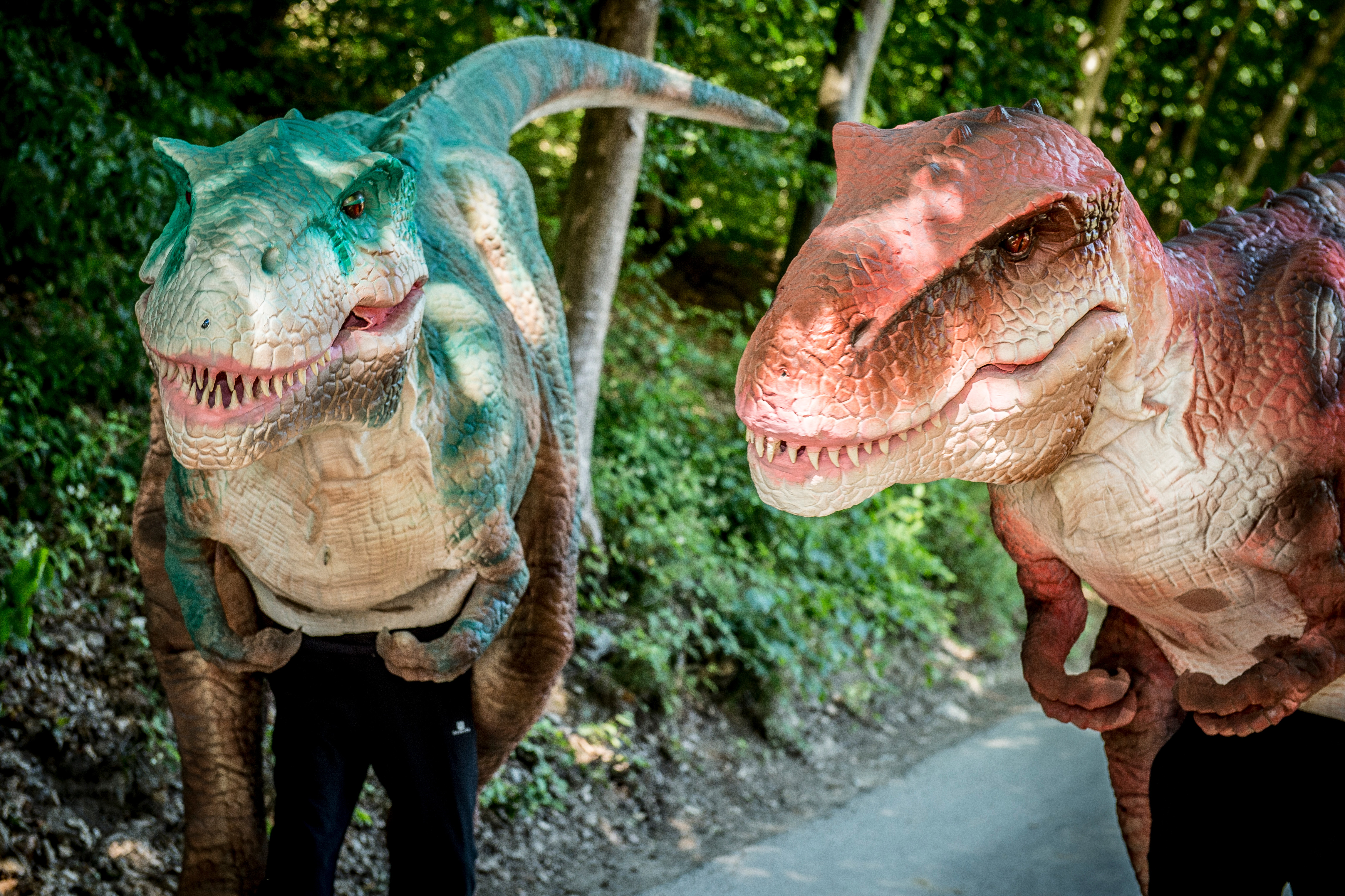 dino3 5mb